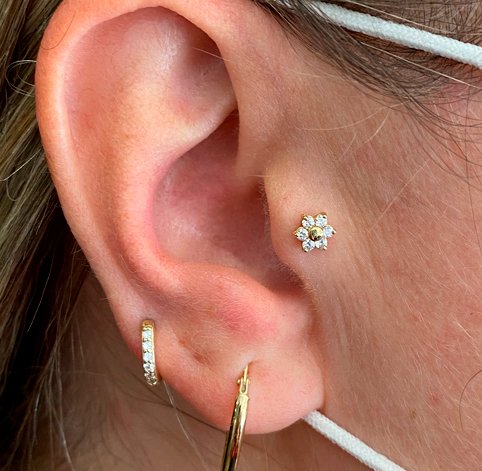 Piercing tragus ZUK Lleida